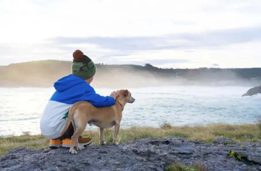 Un ni&ntilde;o observa el mar Cant&aacute;brico junto a su perro en una ma&ntilde;ana fresca y brumosa, en la costa de Cantabria.
