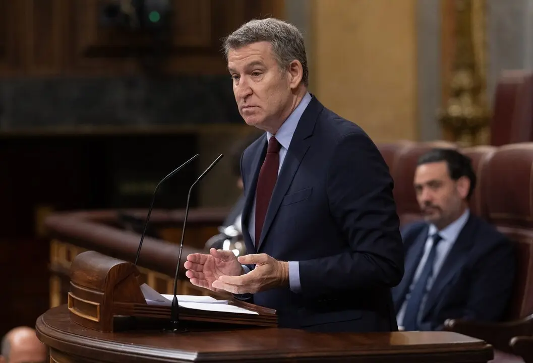El presidente del PP, Alberto N&uacute;&ntilde;ez Feij&oacute;o, interviene durante una sesi&oacute;n plenaria en el Congreso. / Eduardo Parra