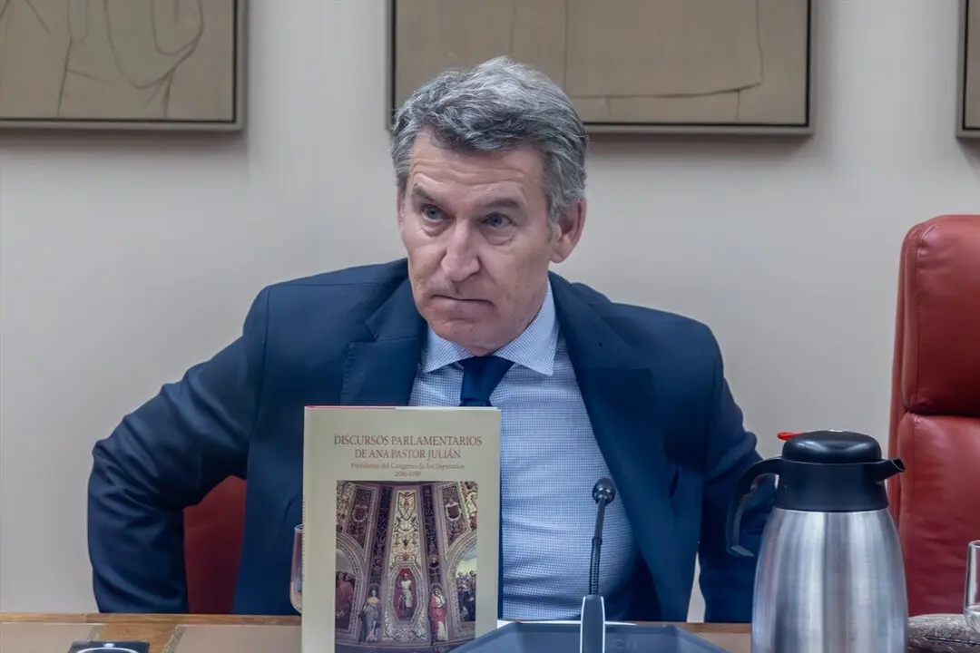 El presidente del Partido Popular, Alberto N&uacute;&ntilde;ez Feij&oacute;o. / Ricardo Rubio