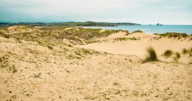 Dunas de Liencres. / A.S.