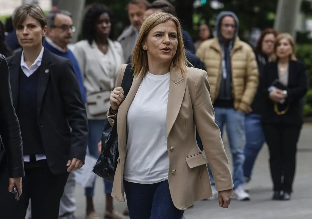 La delegada del Gobierno, Pilar Bernab&eacute;, a su llegada a declarar como testigo. / Rober Solsona