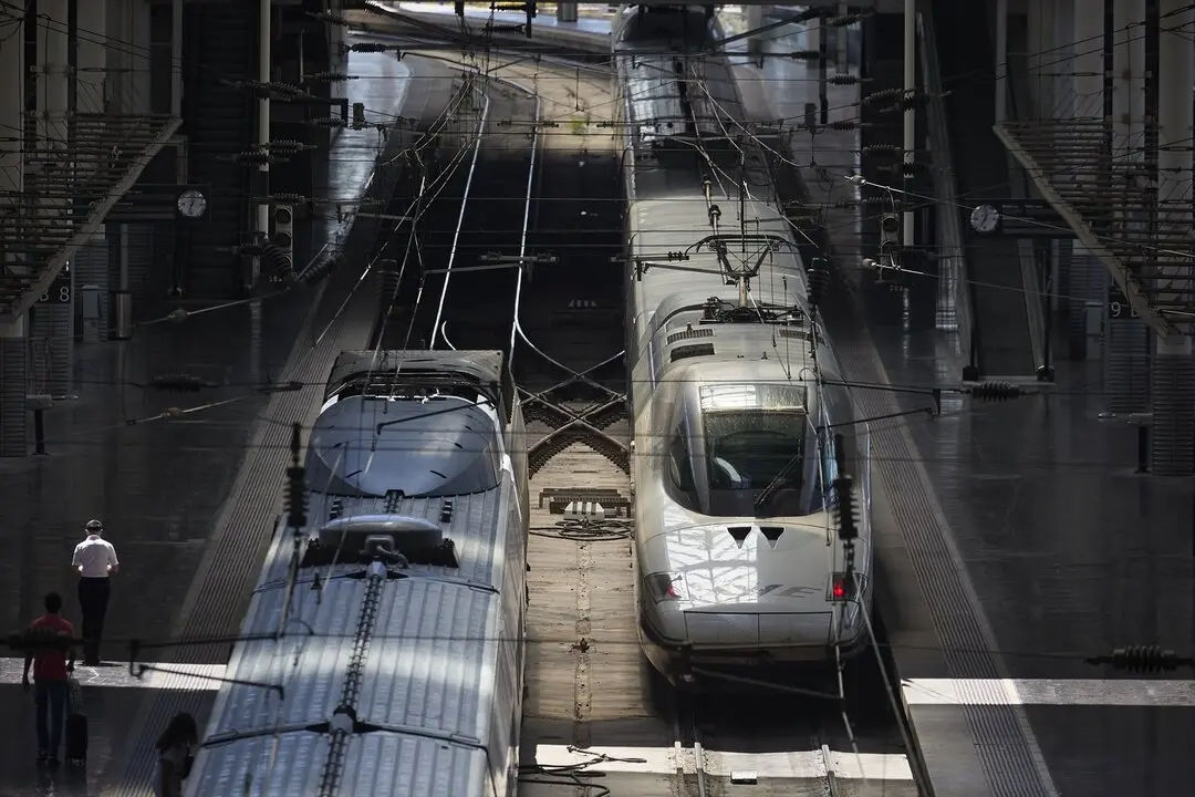 Varios trenes en la estaci&oacute;n de trenes Puerta de Atocha-Almudena Grandes. / Jes&uacute;s Hell&iacute;n