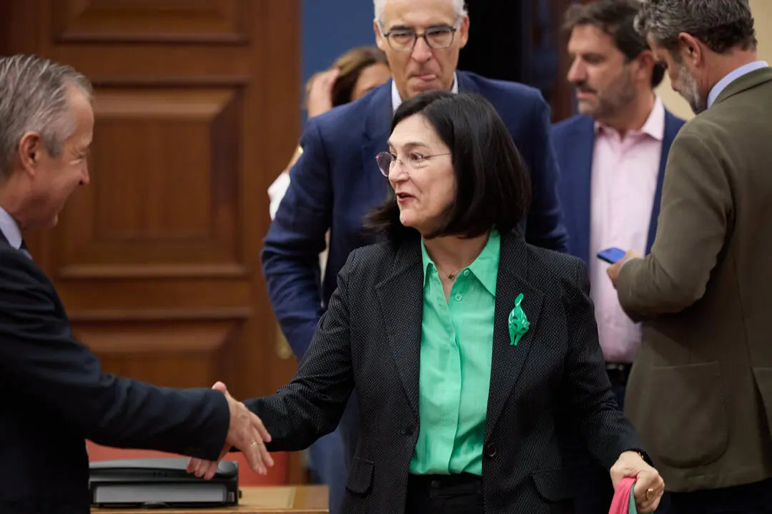 La presidenta de la Comisi&oacute;n Nacional de los Mercados y Competencia (CNMC), Cani Fern&aacute;ndez. / EP