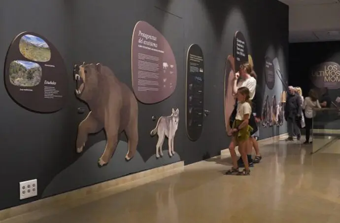 Exposici&oacute;n 'El declive neandertal' en el Museo de Altamira. / x