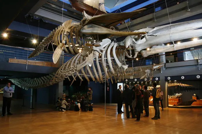 Interior del Museo Mar&iacute;timo del Cant&aacute;brico, tras una conferencia. / x