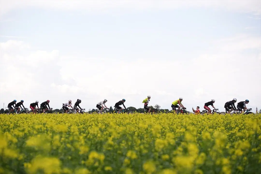 Los ciclistas en la etapa 14 del Giro. / Marco Alpozzi