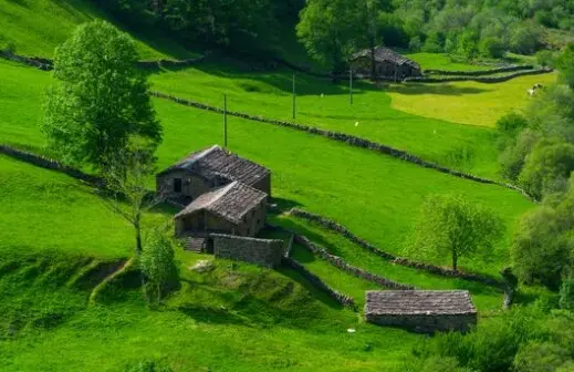 Caba&ntilde;as rurales en medio de la Vega de Pas. / A.S.