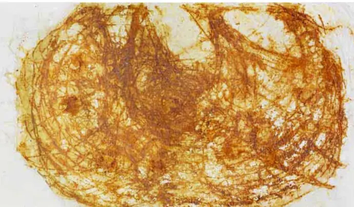 Obra de la exposici&oacute;n 'Tiempo y profundidad' de Mar&iacute;a Villacorta. /x