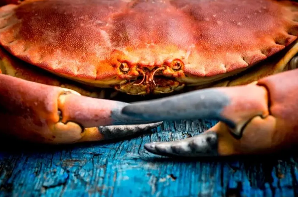 Pueblos de Cantabria con Estrellas Michelin, cocidos y anchoas de lujo.