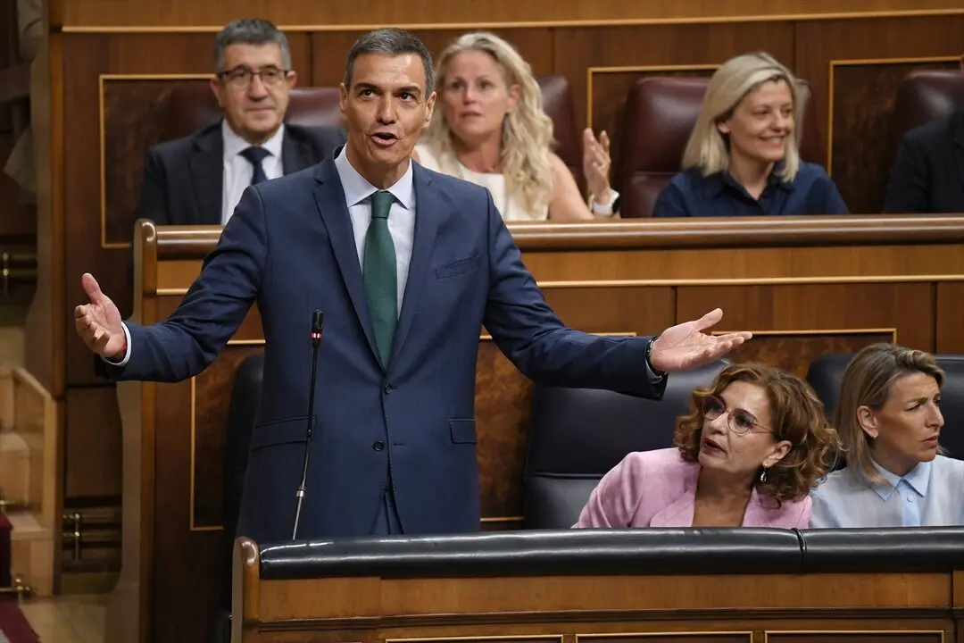 El presidente del Gobierno, Pedro S&aacute;nchez, interviene durante una sesi&oacute;n de control al Gobierno. / Fernando S&aacute;nchez