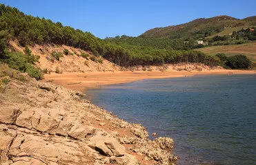 Este bosque de pinos nacido como barrera natural se ha convertido en uno de los destinos m&aacute;s tranquilos y bellos para pasear. / A.S.P