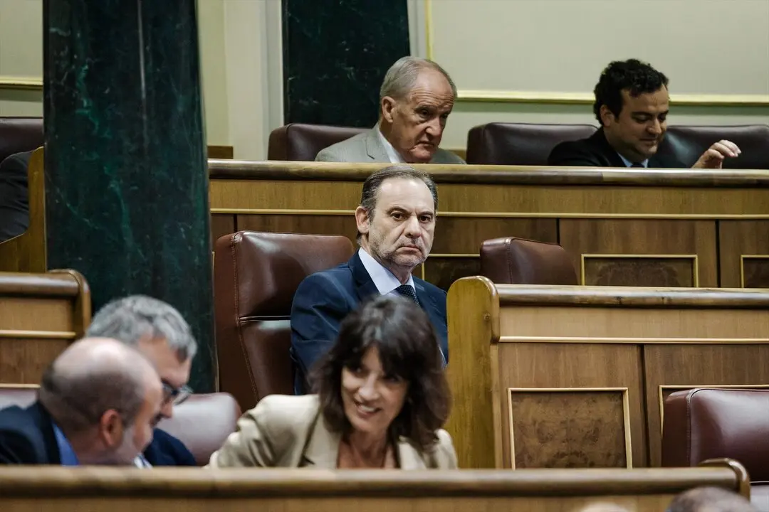 El diputado del Grupo Mixto Jos&eacute; Luis &Aacute;balos (c), durante un pleno en el Congreso de los Diputado. / Carlos Luj&aacute;n