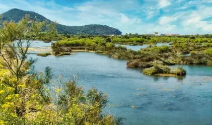 Parque natural de las marismas de Santo&ntilde;a en Cantabria, Espa&ntilde;a. / A.S.