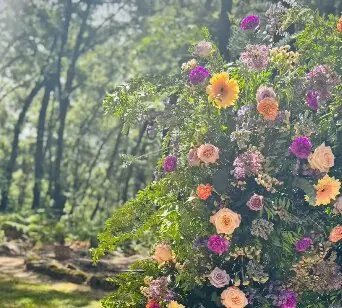 La finca donde se celebr&oacute; la comuni&oacute;n. / Instagram