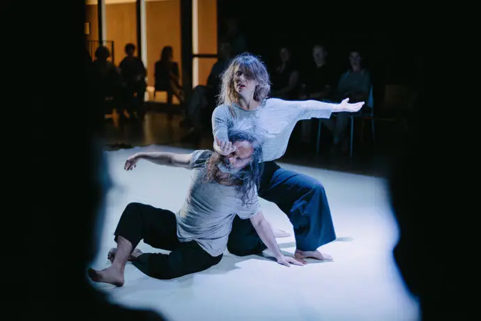 Actuaci&oacute;n de Babirusa Danza, uno de los espect&aacute;culos del ciclo 'Santander Esc&eacute;nica'. / ae