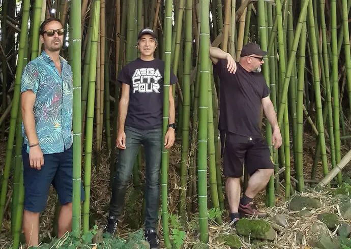 El grupo torrelaveguense de rock 'Maicol'. / x