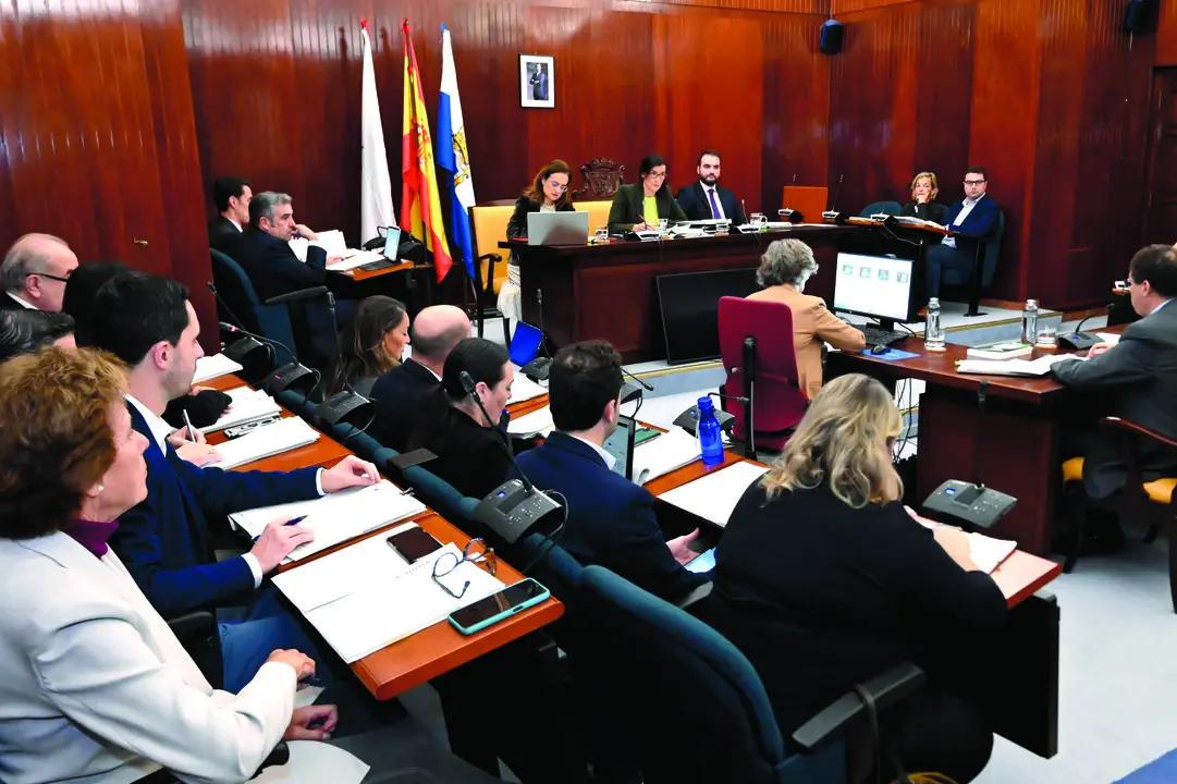 El Pleno municipal santanderino aprob&oacute; inicialmente una nueva ordenanza de residuos. / Alerta
