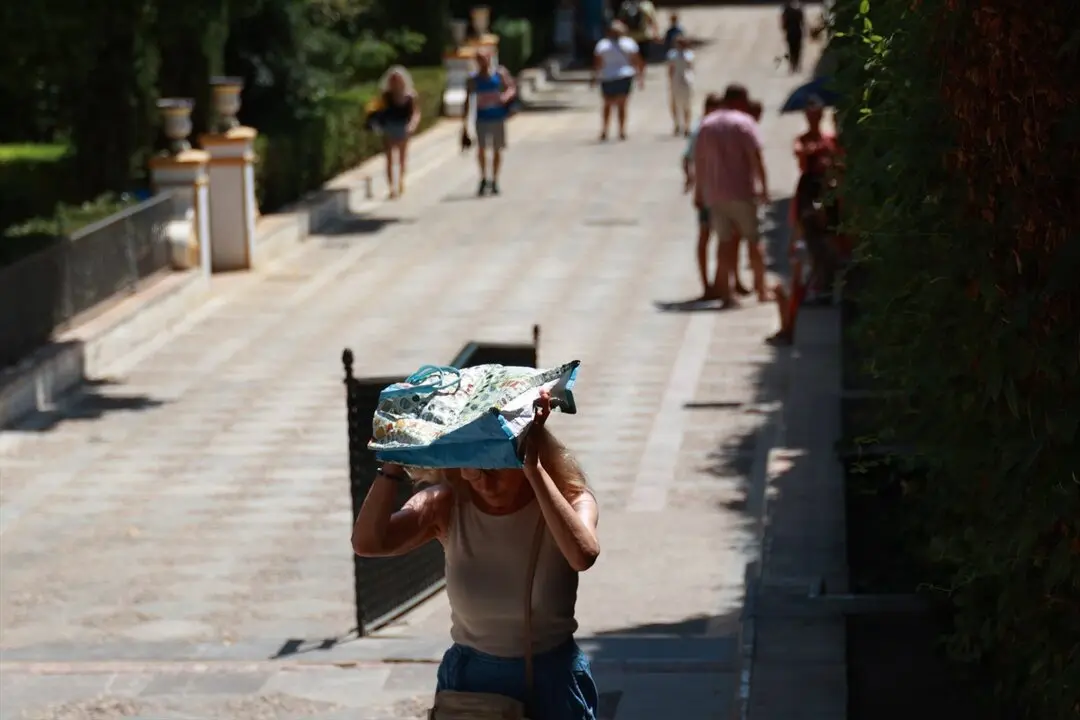 Una persona se resguarda del sol con una bolsa para soportar las altas temperaturas. / Roc&iacute;o Ruz