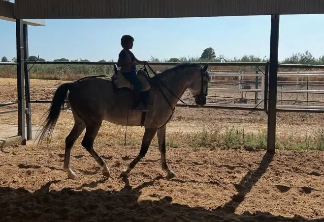 Curro Rivera, hijo de seis a&ntilde;os de Fran Rivera, comparte la afici&oacute;n ecuestre de su padre. / Instagram