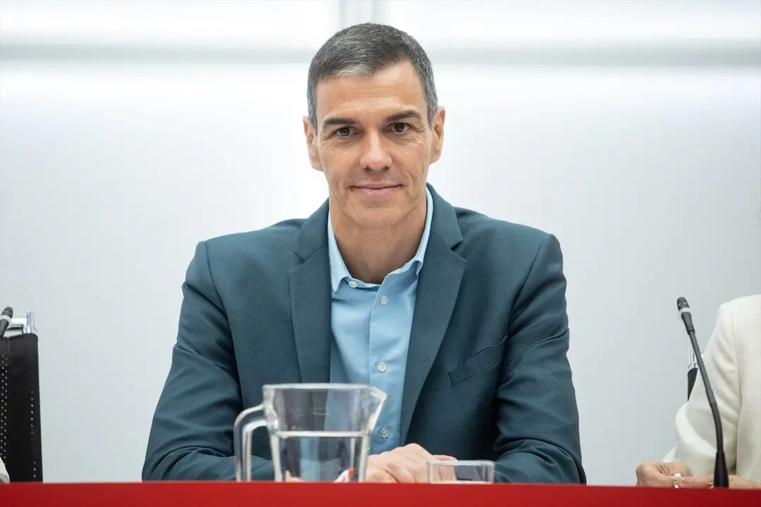 El presidente del Gobierno, Pedro S&aacute;nchez, preside la reuni&oacute;n de la Comisi&oacute;n Ejecutiva Federal en la sede de Ferraz. / Alejandro Mart&iacute;nez V&eacute;lez