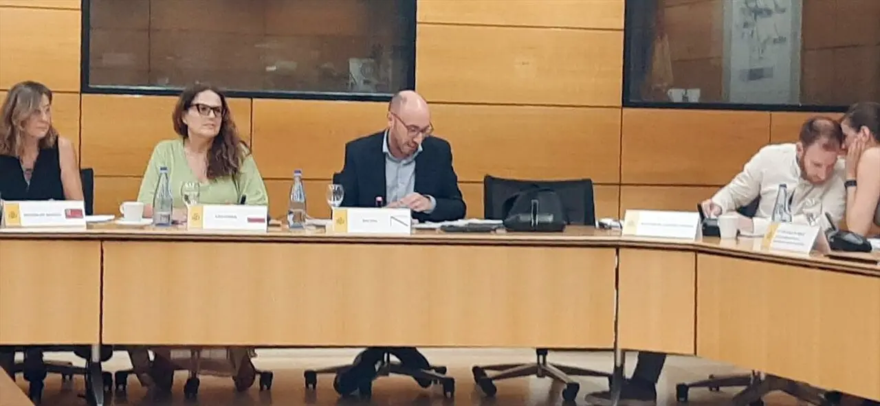 La directora del ICASS en la Comisi&oacute;n Sectorial de Infancia celebrada en Madrid. / EP