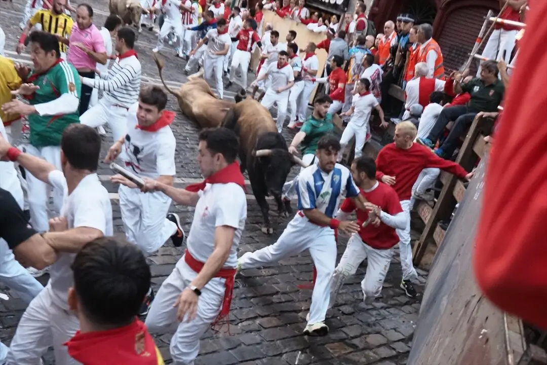 Encierro protagonizado por los toros de &Aacute;lvaro N&uacute;&ntilde;ez. / Eduardo Sanz
