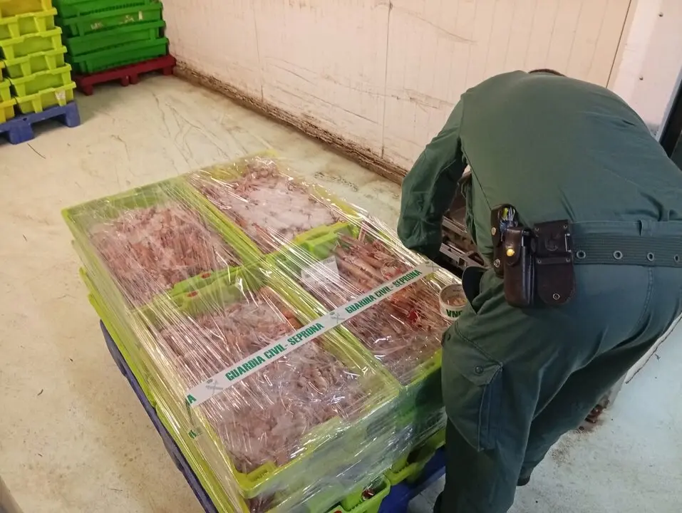 Interceptados m&aacute;s de 280 kilos de cigalas sin documentaci&oacute;n. / Guardia Civil