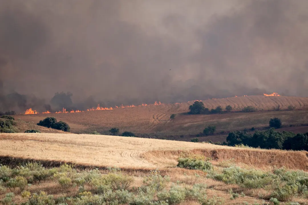 Vista del incendio. / EP