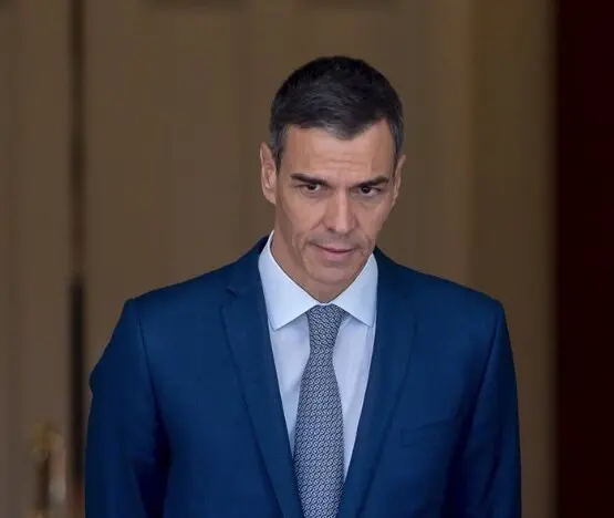 El presidente del Gobierno, Pedro S&aacute;nchez, antes de un encuentro con el lehendakari, Imanol Pradales, en el Palacio de La Moncloa. / Alberto Ortega