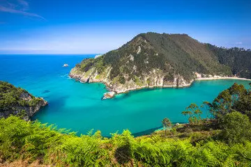 Vista desde arriba de una de las playas de Pech&oacute;n. / A.S.P
