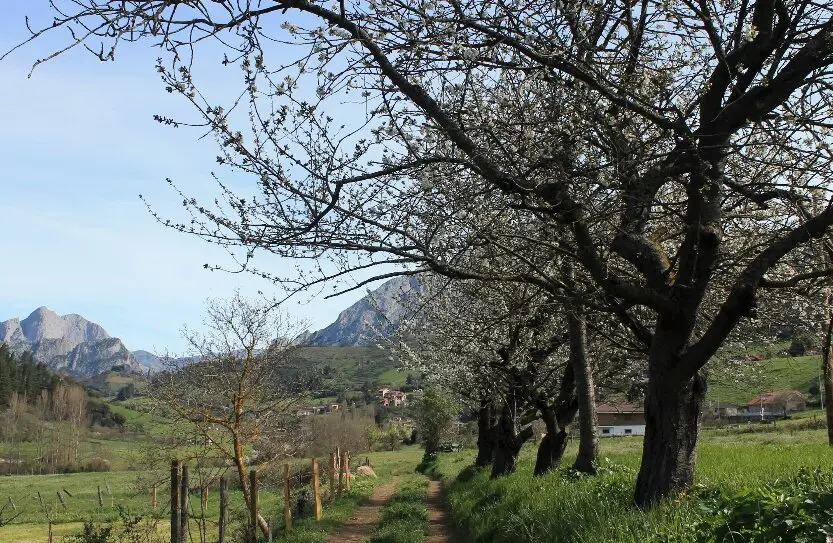 Uno delos rincones del pueblo de Ojedo. / B.S.