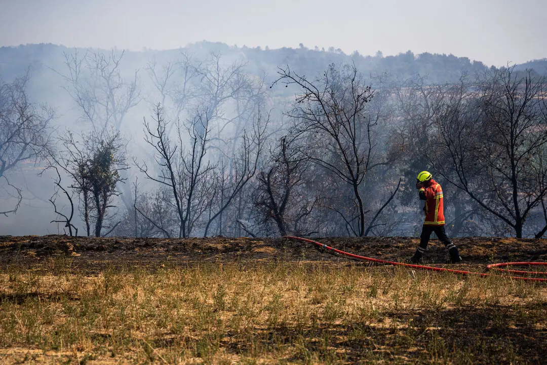 M&aacute;s de 2.000 bomberos, 600 veh&iacute;culos y helic&oacute;pteros militares luchan contra el fuego declarado el pasado martes. / EP