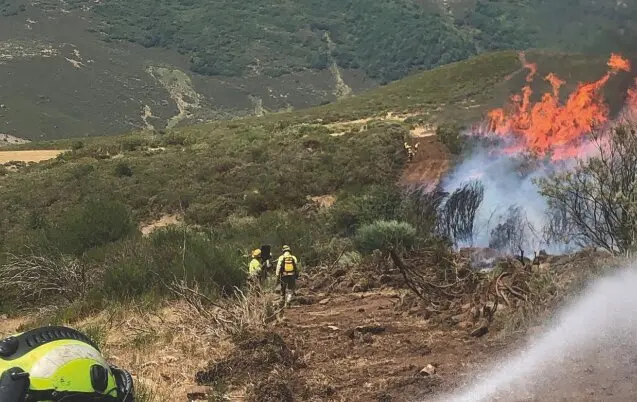 Los bomberos han atendido y actuado en los incendios que afectaron la regi&oacute;n. / Alerta