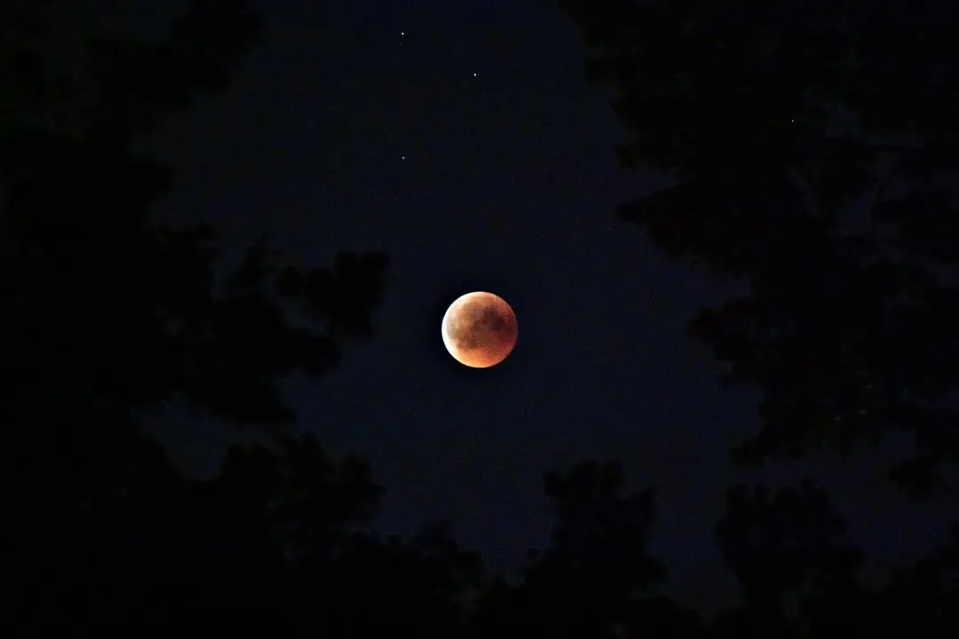 pexels-didsss-La fase total arrancar&aacute; a las 19:31, pero depender&aacute; de tu ciudad cu&aacute;nto tiempo podr&aacute;s disfrutar de la luna de sangre. / A.E