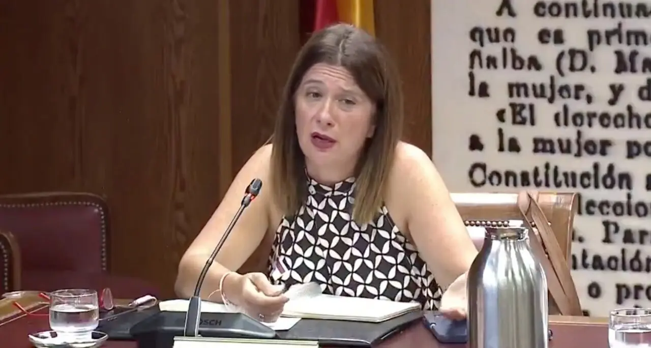 Leire D&iacute;ez durante su intervenci&oacute;n en la comisi&oacute;n que investiga el 'caso Koldo' en el Senado. / X