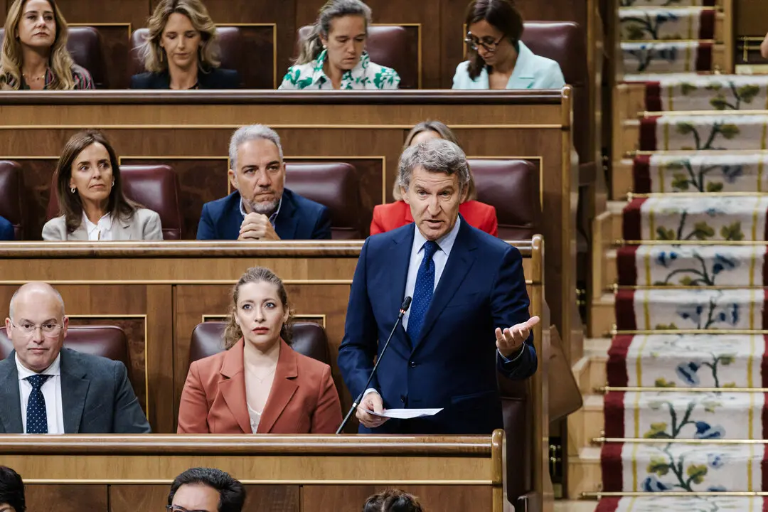 El presidente del PP, Alberto N&uacute;&ntilde;ez Feij&oacute;o. / EP
