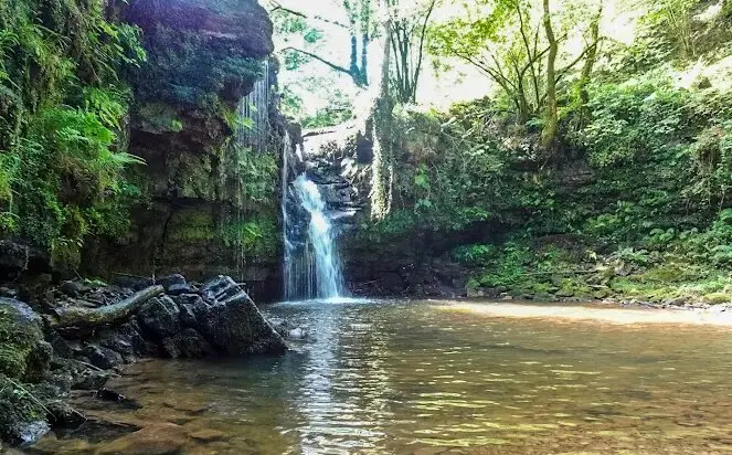 Este sendero pasiego demuestra que en Cantabria tambi&eacute;n hay rincones que parecen selvas tropicales. / J.C.