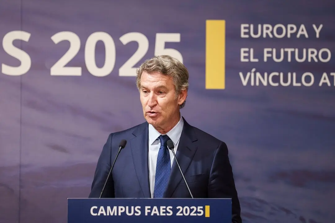 El presidente del PP, Alberto N&uacute;&ntilde;ez Feij&oacute;o. / Mat&iacute;as Chiofalo