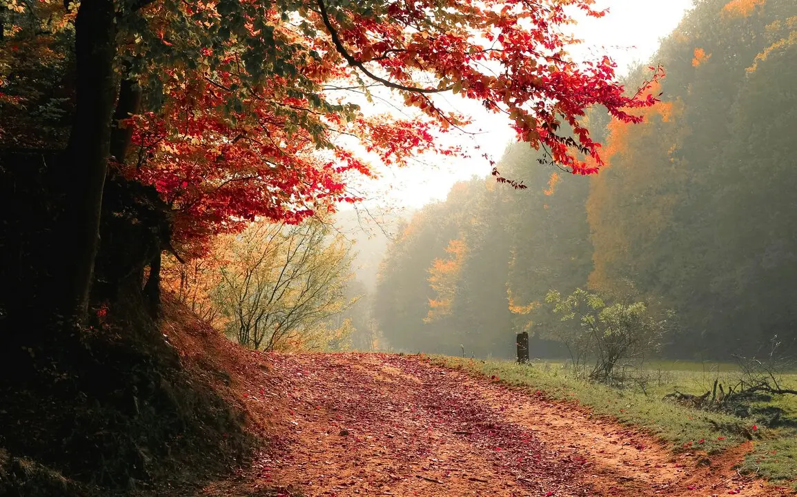 El oto&ntilde;o llega con un tiempo cambiante. / A.P