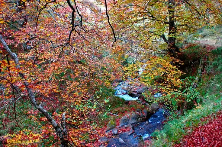 Septiembre, octubre y noviembre son los mejores meses para descubrir la Cantabria m&aacute;s aut&eacute;ntica. / PT