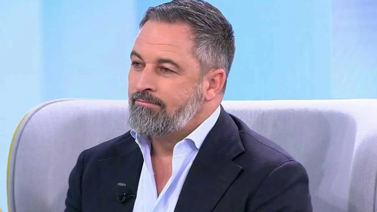 Santiago Abascal durante una entrevista en televisi&oacute;n. / X