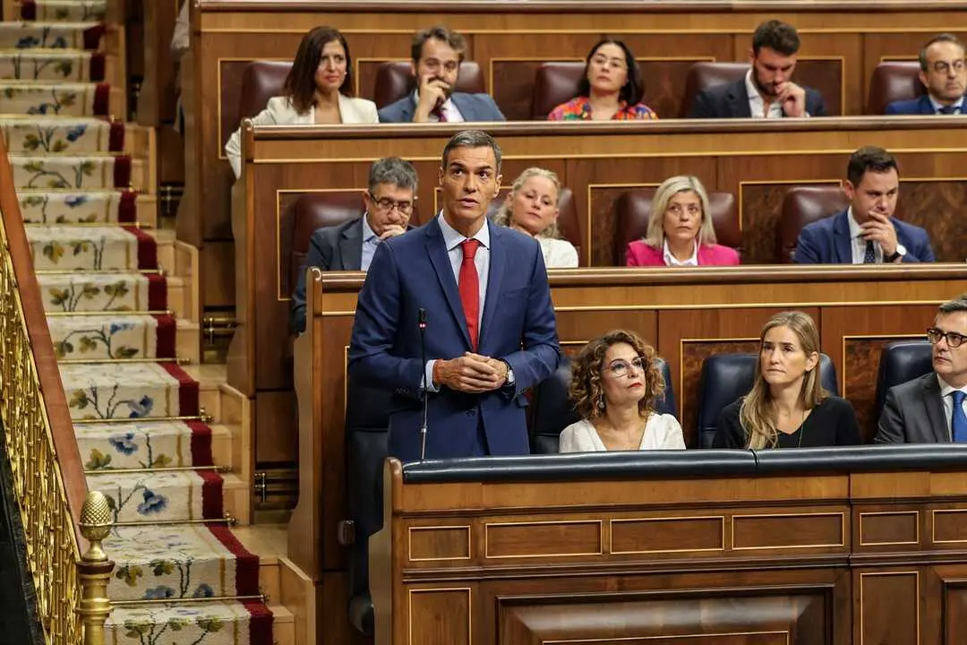 El presidente del Gobierno, Pedro S&aacute;nchez, interviene durante una sesi&oacute;n de control al Gobierno en el Congreso de los Diputados. / Ananda Manj&oacute;n