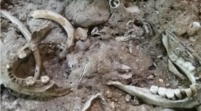 La pieza del mes en el MUPAC: El enterramiento de la Cueva de las C&aacute;scaras. / x