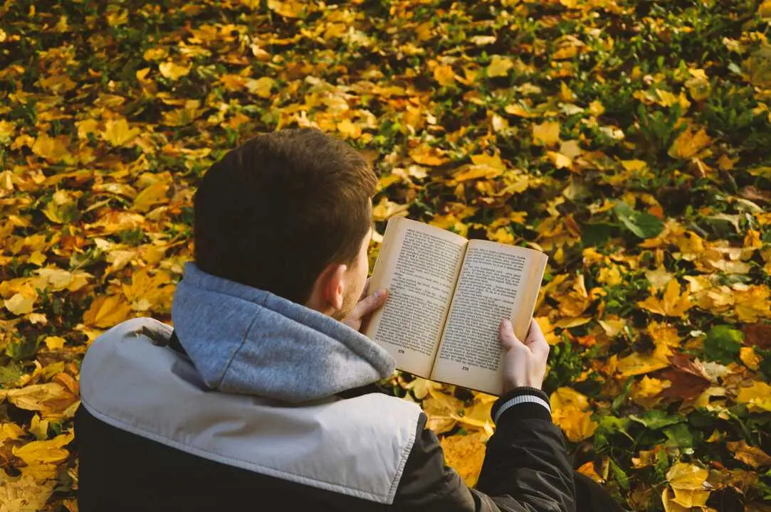 La b&uacute;squeda del libro perfecto puede ser un reto, pero aqu&iacute; te ayudamos. / A.E