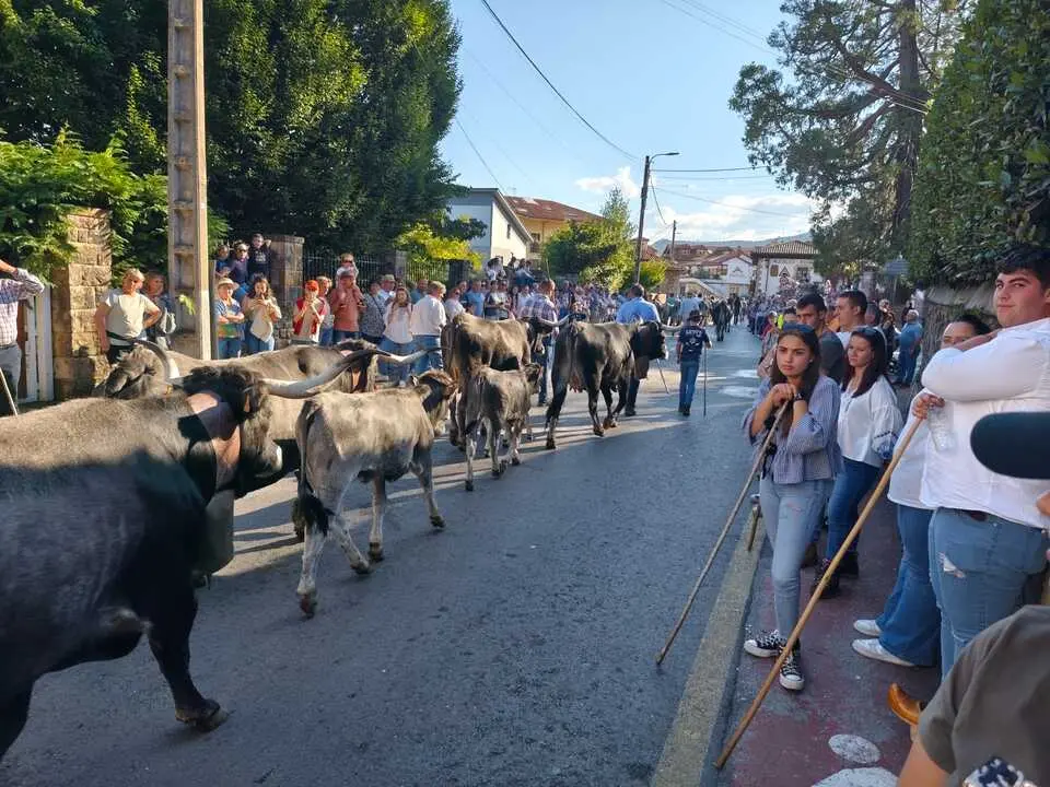 Uno de los momentos de ayer en la 'Pas&aacute;'. / SAJA