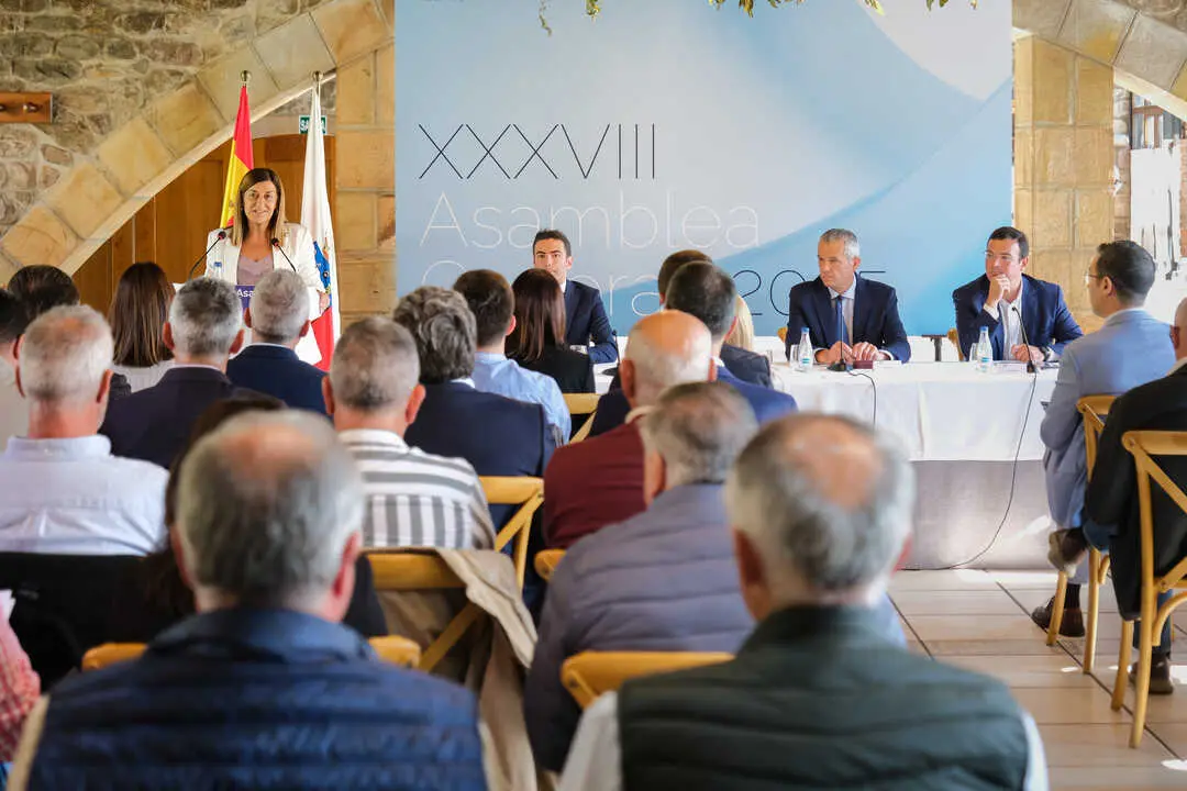 La presidenta c&aacute;ntabra, Mar&iacute;a Jos&eacute; S&aacute;enz de Buruaga, durante su intervenci&oacute;n en la XXXVIII Asamblea General de la Federaci&oacute;n de Municipios. / Alerta