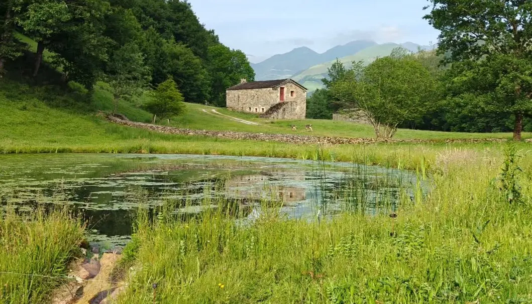 Una de las caba&ntilde;as de la zona. / cabanasdepax