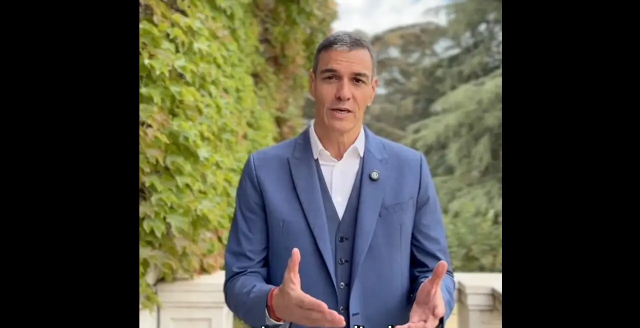Pedro S&aacute;nchez durante el v&iacute;deo subido a las redes sociales. / X