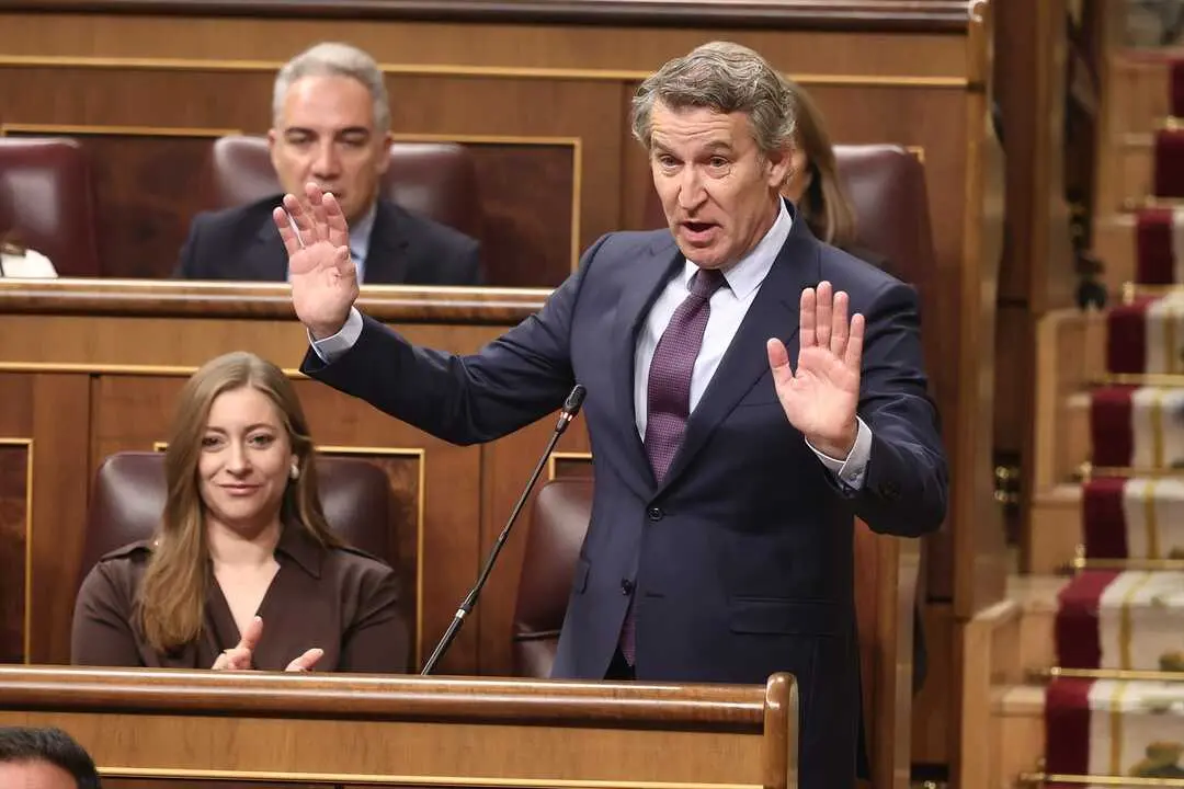 El presidente del Partido Popular, Alberto N&uacute;&ntilde;ez Feij&oacute;o, interviene durante una sesi&oacute;n de control al Gobierno. / Eduardo Parra