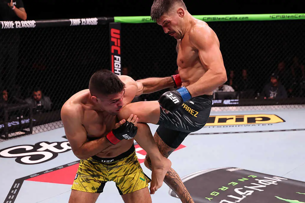 Joel &Aacute;lvarez durante su combate. / UFC